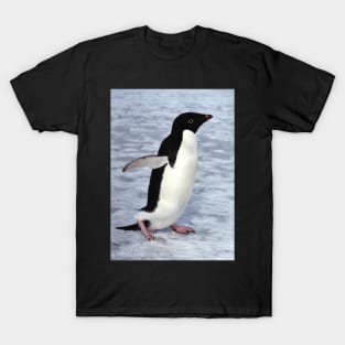 Adelie Penguin Walking on the Fast Ice T-Shirt